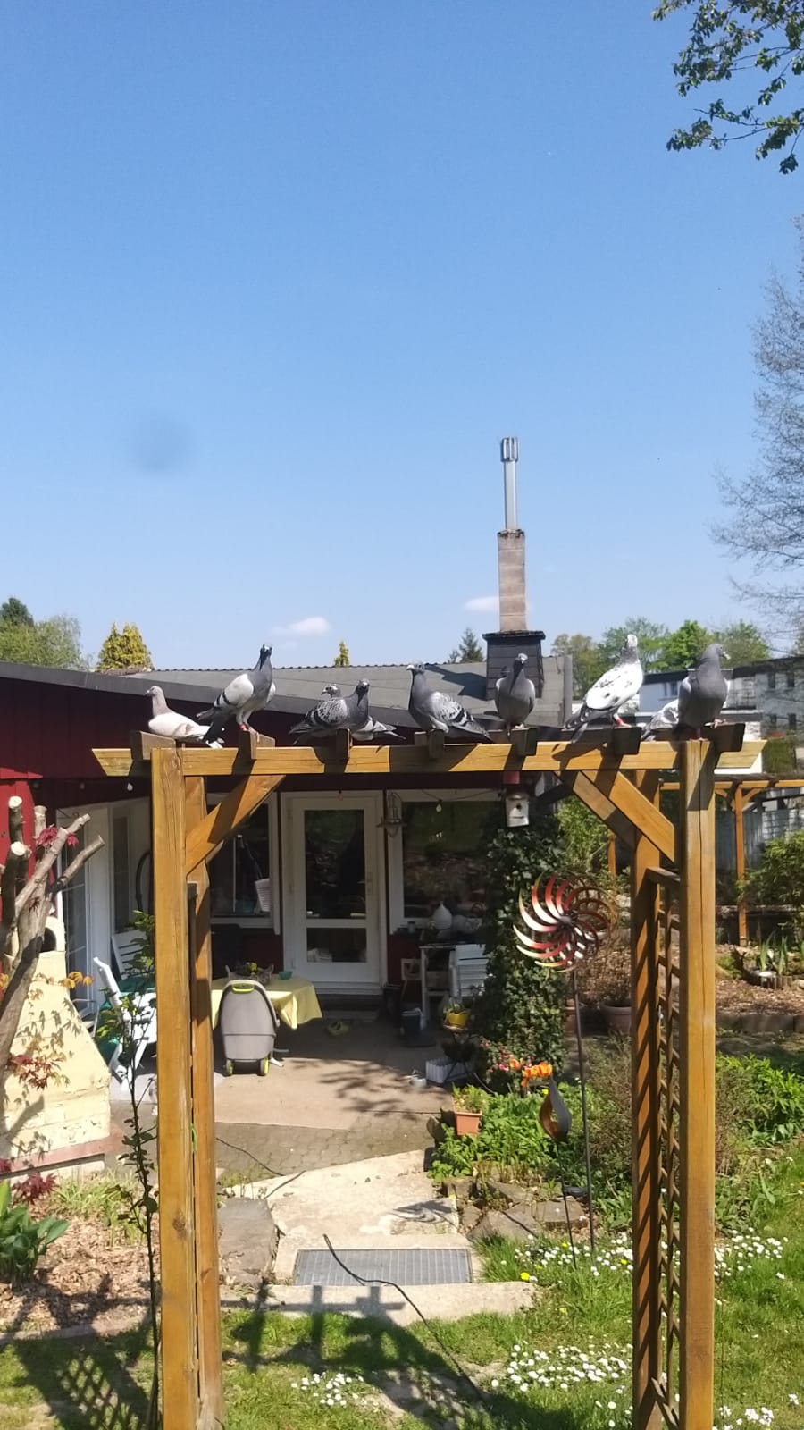 In der Sonne machen es sich die Jungen uberall im Garten gemutlich